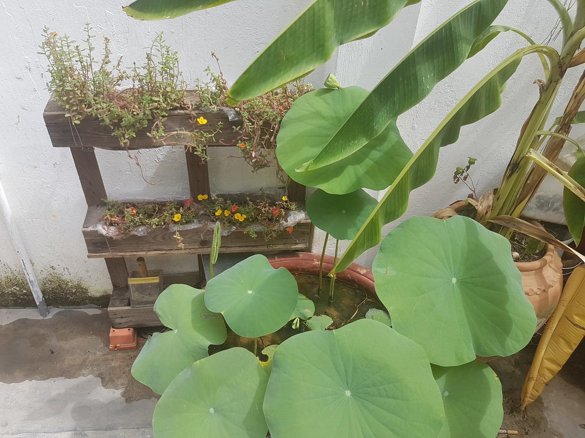 La La House Homestay Nha Trang Exteriör bild